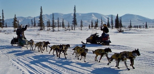 Iditarod Dream Iditarod Dusty and His Sled Dogs Compete in Alaskas Jr