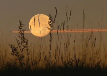 pic of moon