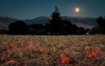 pic of moon
