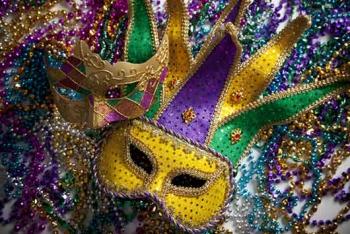 Mardi Gras Mask