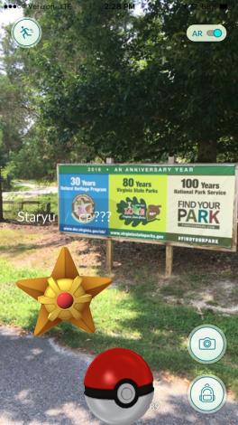 Pokemon Go uses AR technology. Here is a picture from Pokemon Go with a Pokemon and Pokeball.