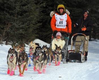 Dogs being pulled by musher at Iditarod
