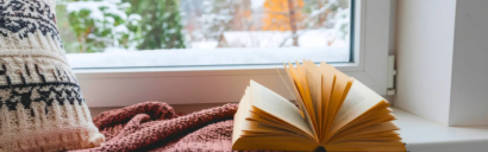 A window with a winter scene outside, an opened book, pillow, and blanket inside the window.