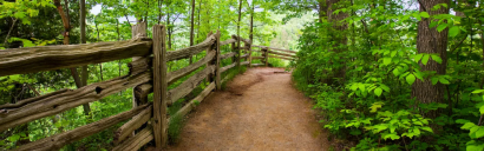 Hiking trail with trees and wooden fence.