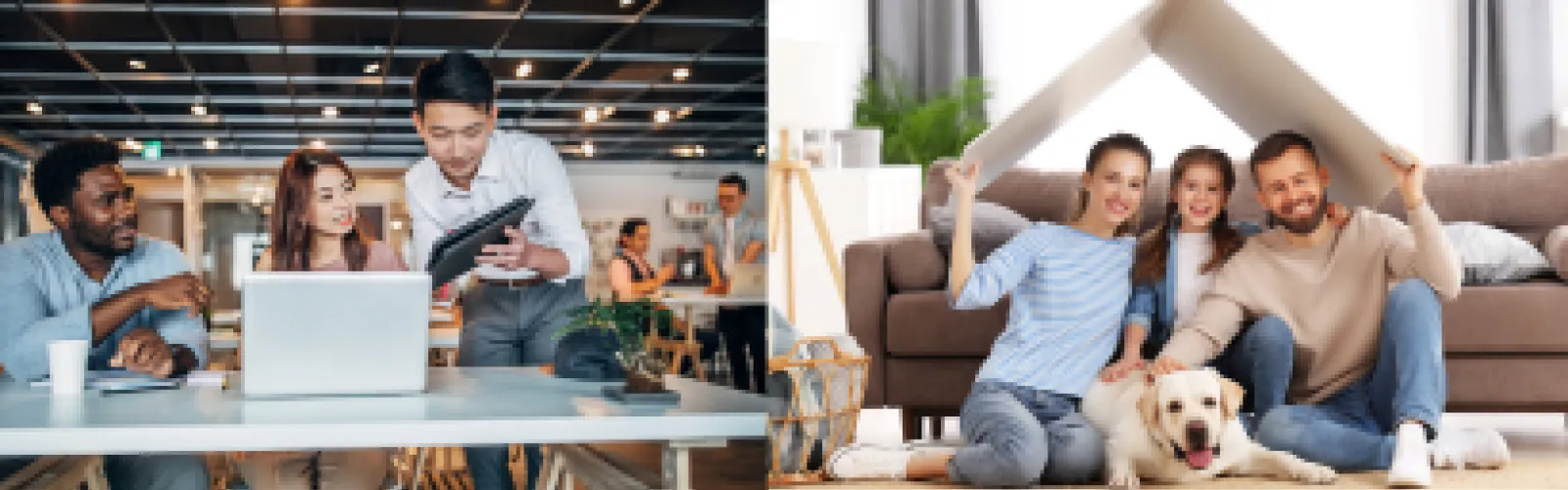 Office workers and a family at home with a dog