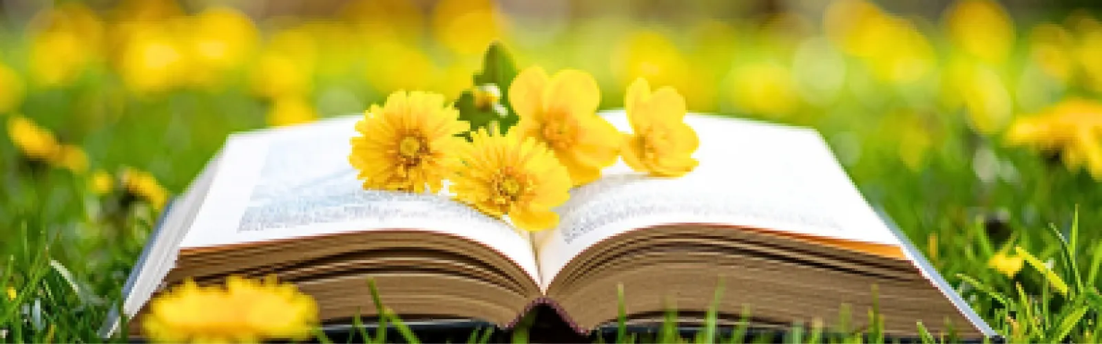 An open book on the grass with flowers