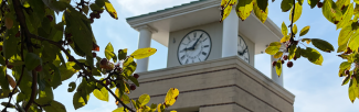 clock tower partially covered by trees