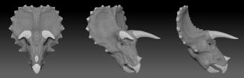 Digital reconstruction of what a triceratops head would have looked like from three different angles